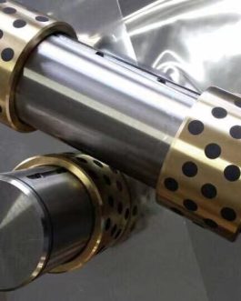 Pins & Bronze Bushings